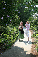 Shooting photos in the garden